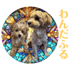 Ayamoko_20250325125128