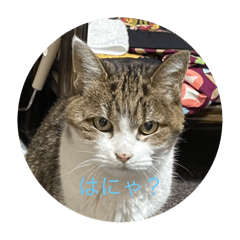 natsumi_20250324192557