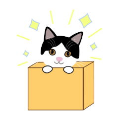 Bicolor Cat Neru-chan