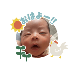 yoshi_20250325140146
