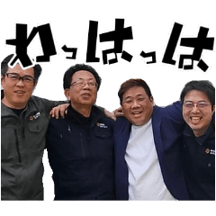 Surprise Corporation