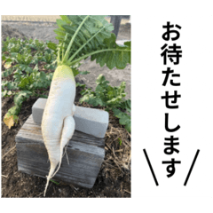 En_20250325011945