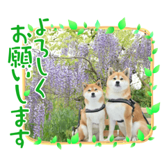 jun_20250325153514