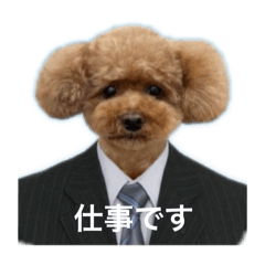 hi_20250325120455
