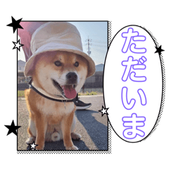 keiko_20250325214730