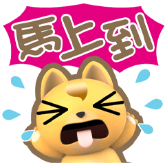 ★愛喵喵生活對話★寶吉