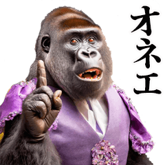 A male gorilla that looks like a female
