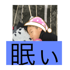 tom_20250325200308