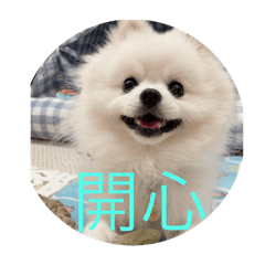 萌犬來襲旺汪3