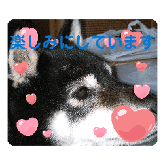 Mika_20250325151902