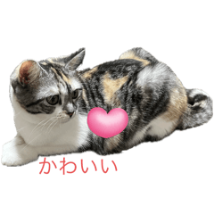 sato_20250325183232