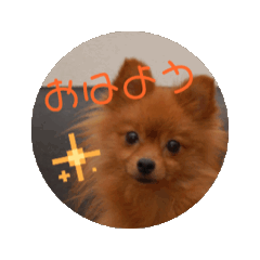honoka_20250325185707