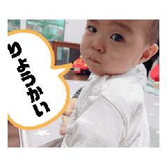 HAL_20250325201539