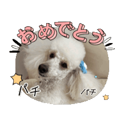 miki_20250325221000