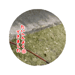 Ran_20250326003047