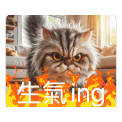有利貓