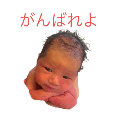 Ryu_20250325212434