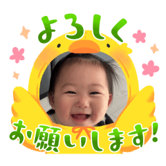 jima2