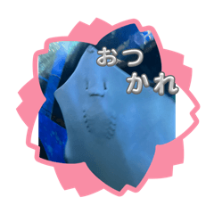 Haru_20250325192503