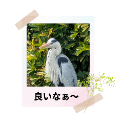 hana_20250325170800