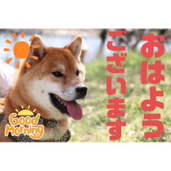 keiko_20250326112233