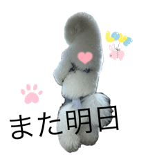 Nina_20250325203423