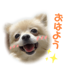 Rena_20250325203533