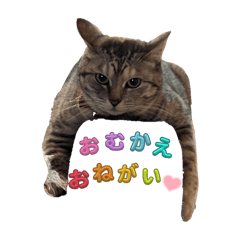 rena_20250325205215