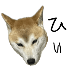 am_20250325222841