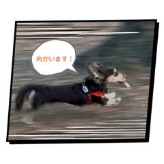 Aru_20250325174903