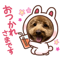 Hana_20250325205708