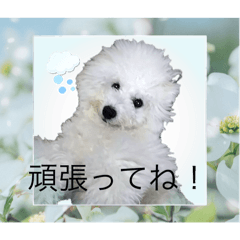 Nina_20250325211006