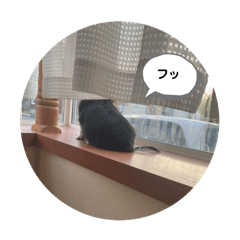 yuyu_20250325234756
