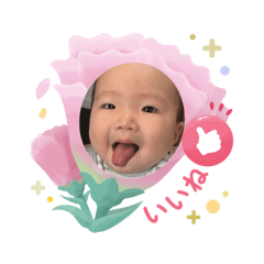 akkun2025.3