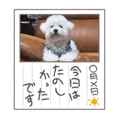 mina_20250325235648
