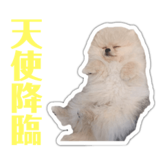 kotetsu_20250325204326