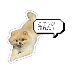 kotetsu_20250325215440