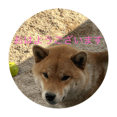 Mugi_20250325220456