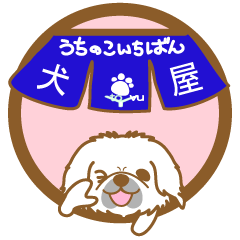 INUYAutinokoitiban(Pekingese)1