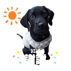 sayuri_20250325225736