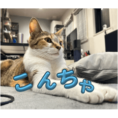 riku_20250325225722