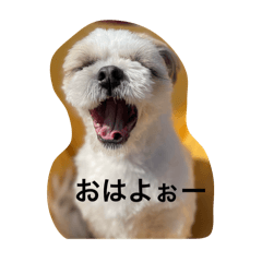 Masa_20250326003014