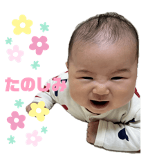 RISA_20250326004236