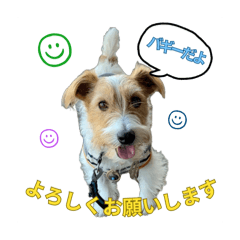 ごきげん⭐︎バギたん