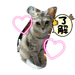 yuki_20250326100921