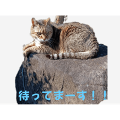 YUKA_20250326102430