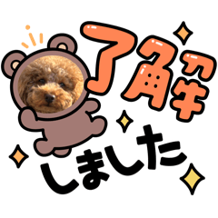 hitomi_20250326114510