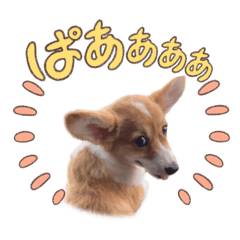 osugi_20250326114330