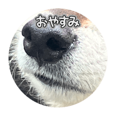 KURO_20250326120911