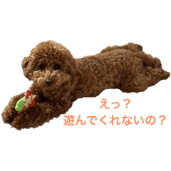 ace_20250326121324